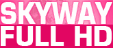 Skymarket